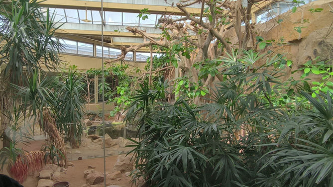 Mixed species habitat